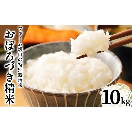 令和7年産!ファーム坂口の特別栽培米 おぼろづき精米 10kg(10kg×1)