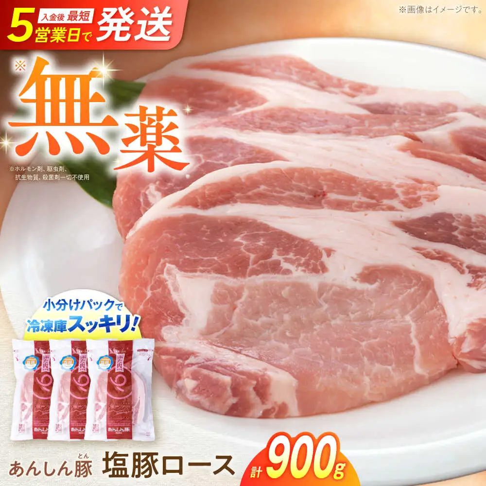 塩豚ロース 計900g  藤井ファーム[AWAF053]豚ロース