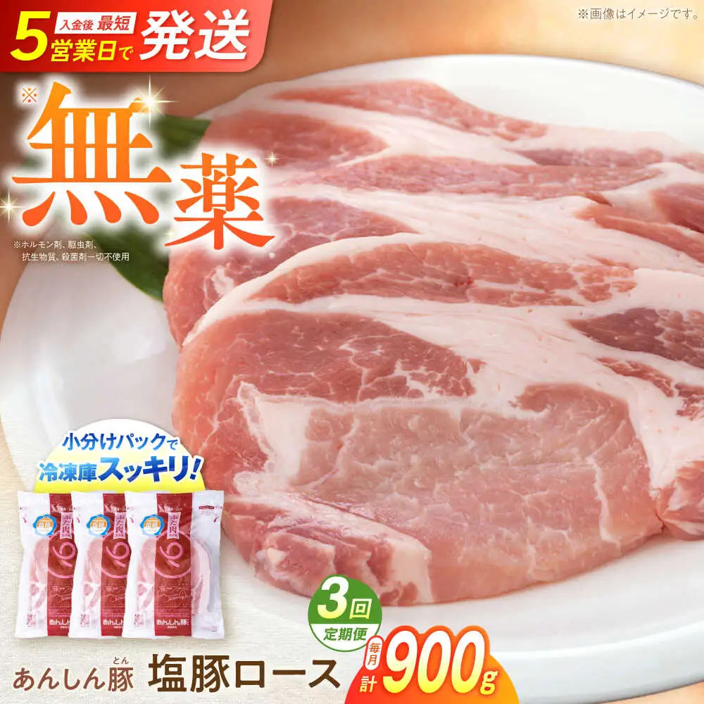 【3回定期便】塩豚ロース 計900g 藤井ファーム[AWAF054]