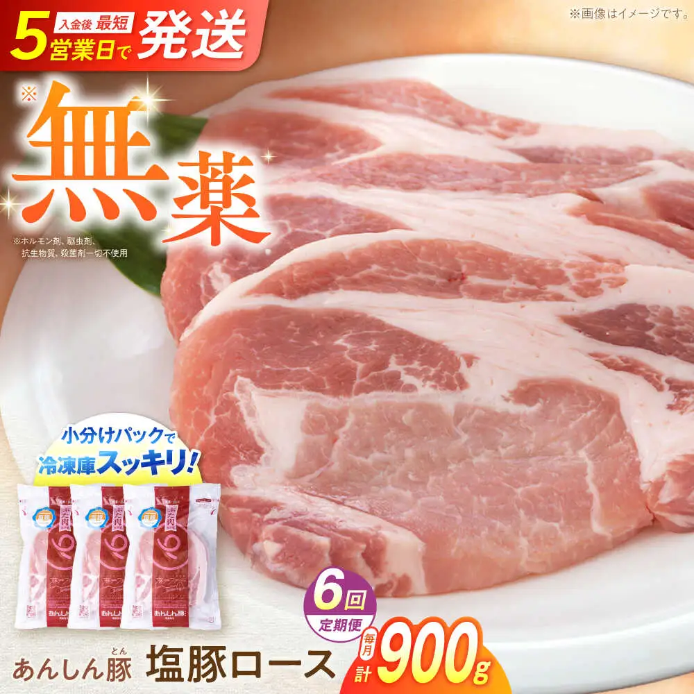 【6回定期便】塩豚ロース 計900g 藤井ファーム[AWAF055]