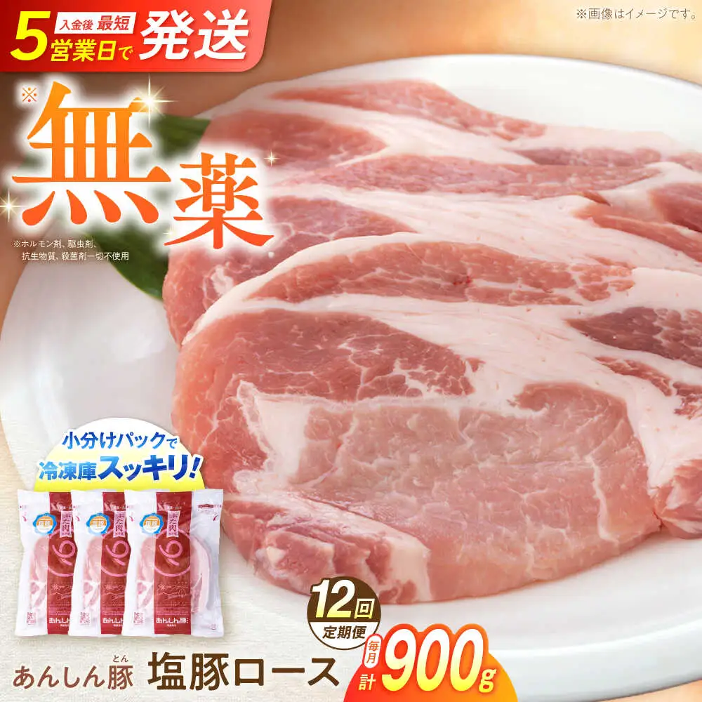 【12回定期便】塩豚ロース 計900g 藤井ファーム[AWAF056]