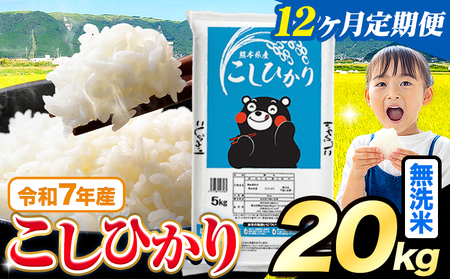 【12ヶ月定期便】無洗米 こしひかり 20kg《お申込み翌月から出荷》
