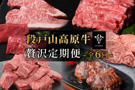 定期便限定部位が入った！全6回 段戸山高原牛 贅沢定期便 ロース サーロイン サーロインステーキ ハンバーグ すき焼き しゃぶしゃぶ サイコロステーキ ランプ モモ モモブロック 塊肉 ヒレ 希少部位 -331