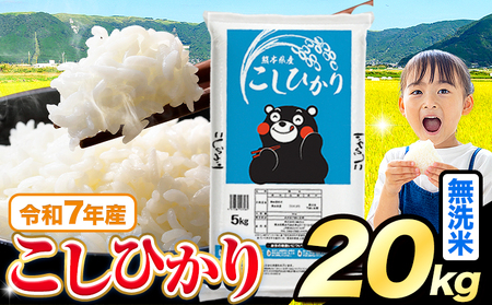 無洗米 令和7年産 こしひかり 20kg 無洗《7-14日以内に出荷予定(土日祝除く)》
