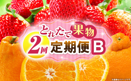 とれたて果物 2回定期便B |果物 フルーツ 果物定期便 フルーツ定期便 定期便 いちご デコポン濃厚 旬の果物 定期 人気 おすすめ 贈答 贈り物 青果物 糖度 香川県 |_mk165-t052