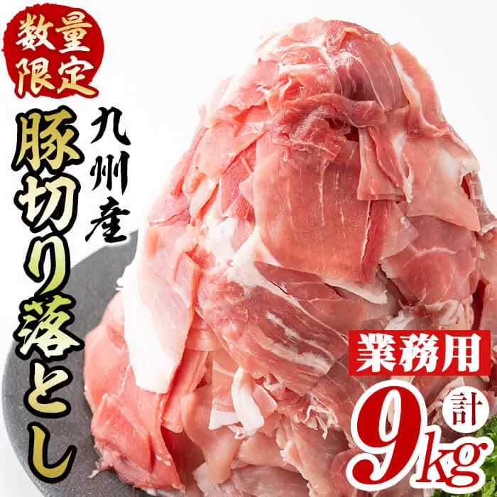 豚肉 切り落し 9kg 【工場直送 業務用】 九州産豚切り落とし＜計9kg(300g×30P)＞ 肉 国産 豚肉 切り落とし 国産 九州産 小分け 真空パック しゃぶしゃぶ c0-137