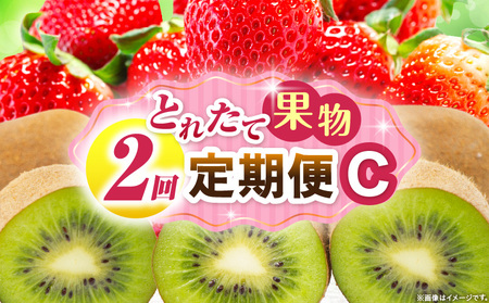 とれたて果物 2回定期便C |果物 フルーツ 果物定期便 フルーツ定期便 定期便 いちご キウイ濃厚 旬の果物 定期 人気 おすすめ 贈答 贈り物 青果物 糖度 香川県 |_mk165-t053
