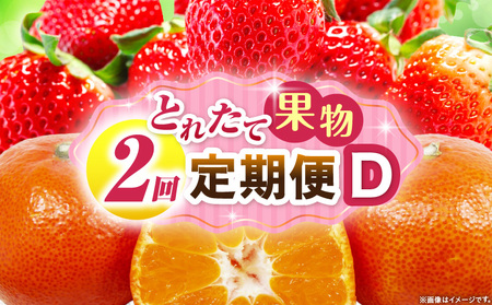 とれたて果物 2回定期便D |果物 フルーツ 果物定期便 フルーツ定期便 定期便 いちご みかん 濃厚 旬の果物 定期 人気 おすすめ 贈答 贈り物 青果物 糖度 香川県 |_mk165-t054