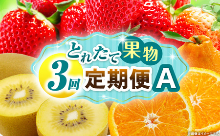 とれたて果物 3回定期便A |果物 フルーツ 果物定期便 フルーツ定期便 定期便 いちご キウイ デコポン濃厚 旬の果物 定期 人気 おすすめ 贈答 贈り物 青果物 糖度 香川県 |_mk165-t065