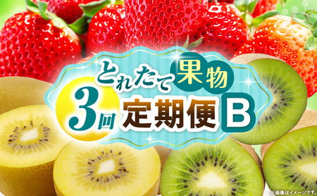 とれたて果物 3回定期便B |果物 フルーツ 果物定期便 フルーツ定期便 定期便 いちご キウイ濃厚 旬の果物 定期 人気 おすすめ 贈答 贈り物 青果物 糖度 香川県 |_mk165-t066