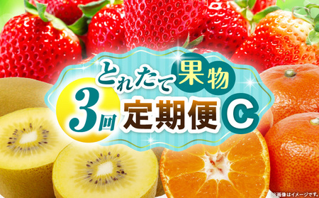 とれたて果物 3回定期便C |果物 フルーツ 果物定期便 フルーツ定期便 定期便 いちご キウイみかん 濃厚 旬の果物 定期 人気 おすすめ 贈答 贈り物 青果物 糖度 香川県 |_mk165-t067