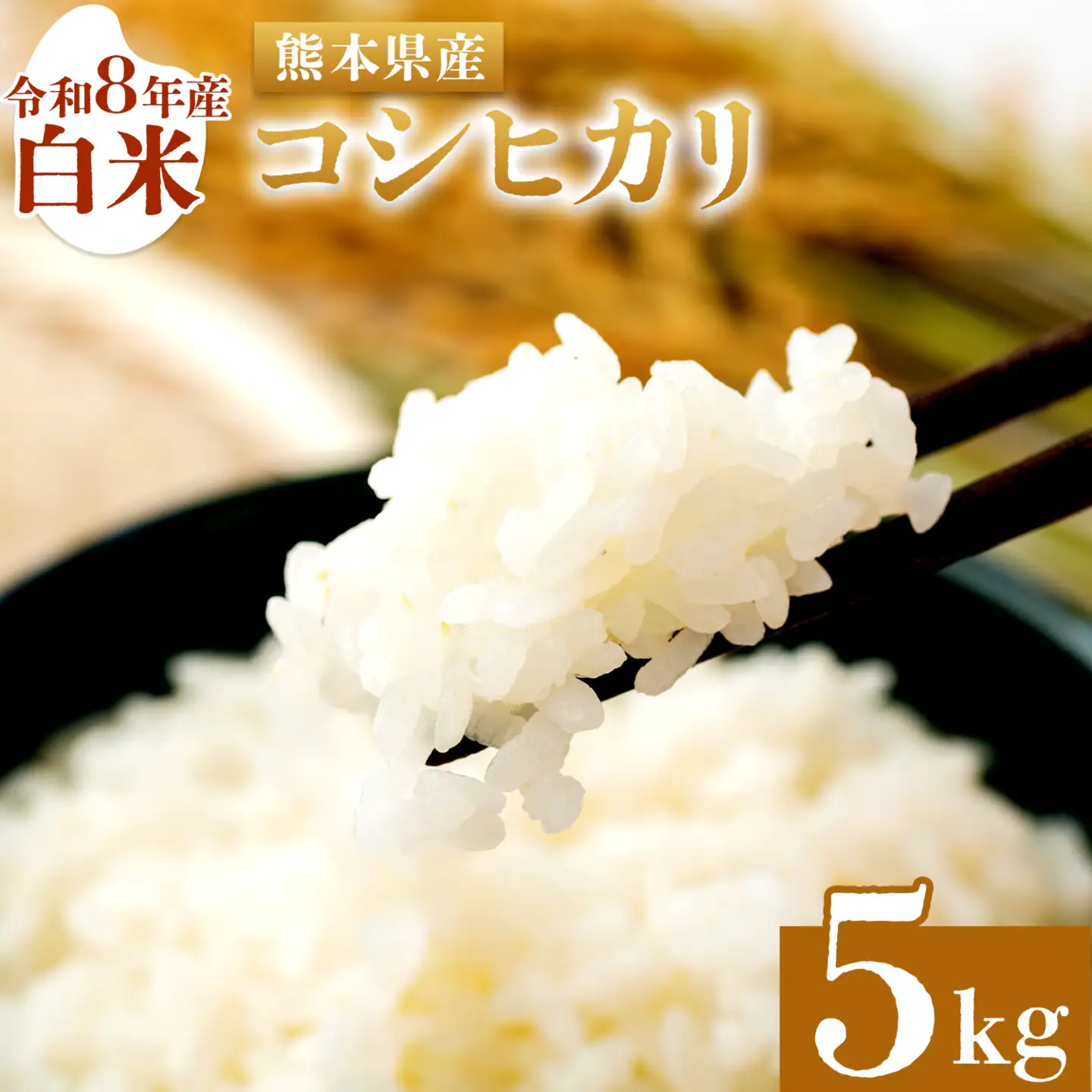 米 白米 コシヒカリ 令和8年産 5kg 森田農園《8月末から順次出荷》 