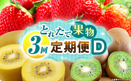 とれたて果物 3回定期便D |果物 フルーツ 果物定期便 フルーツ定期便 定期便 いちご キウイ濃厚 旬の果物 定期 人気 おすすめ 贈答 贈り物 青果物 糖度 香川県 |_mk165-t068