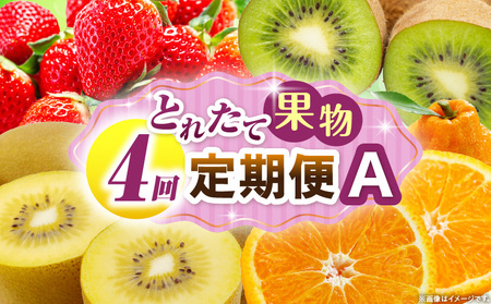 とれたて果物 4回定期便A |果物 フルーツ 果物定期便 フルーツ定期便 定期便 いちご キウイ デコポン濃厚 旬の果物 定期 人気 おすすめ 贈答 贈り物 青果物 糖度 香川県 |_mk165-t074
