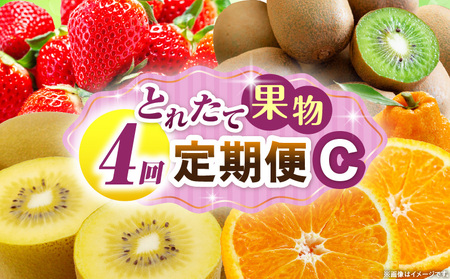 とれたて果物 4回定期便C |果物 フルーツ 果物定期便 フルーツ定期便 定期便 いちご キウイ デコポン濃厚 旬の果物 定期 人気 おすすめ 贈答 贈り物 青果物 糖度 香川県 |_mk165-t076