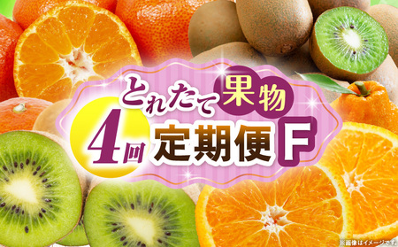 とれたて果物 4回定期便F |果物 フルーツ 果物定期便 フルーツ定期便 定期便キウイ デコポンみかん 濃厚 旬の果物 定期 人気 おすすめ 贈答 贈り物 青果物 糖度 香川県 |_mk165-t079