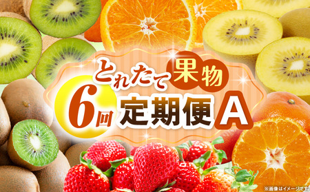 とれたて果物 6回定期便A |果物 フルーツ 果物定期便 フルーツ定期便 定期便 いちご キウイ デコポン みかん 濃厚 旬の果物 定期 人気 おすすめ 贈答 贈り物 青果物 糖度 香川県 |_mk165-t083