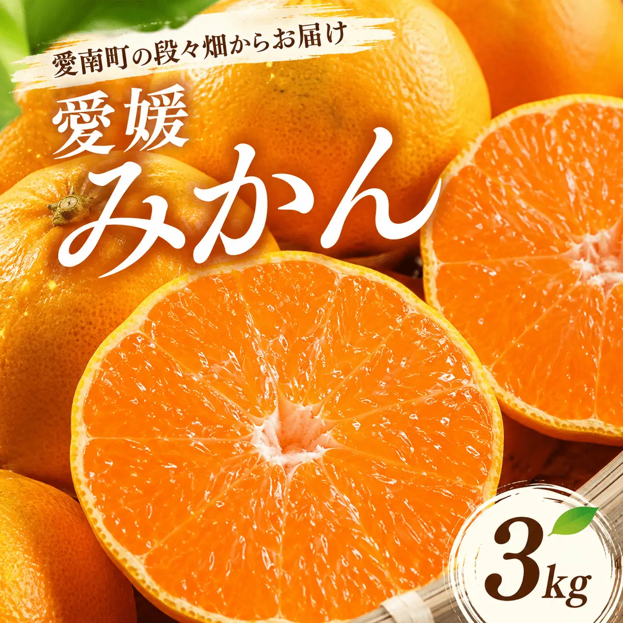先行予約 愛媛みかん 3kg 温州みかん 柑橘 お歳暮 岡平農園 愛媛 愛南 5,320円