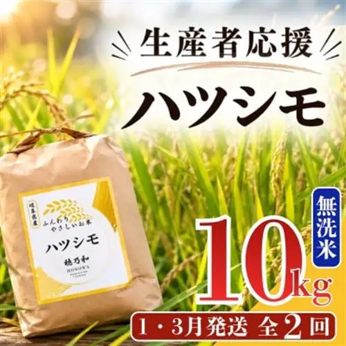 【発送月固定定期便】【先行予約】生産者応援!岐阜県産ハツシモ無洗米10kg【1・3月】全2回【配送不可地域：離島】【4073170】