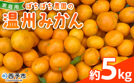 ＜ぼちぼち農園の温州みかん 家庭用 5kg＞ 5キロ うんしゅうみかん 温州ミカン 訳あり わけあり ワケアリ 果物 みかん ミカン 柑橘 フルーツ 国産 特産品 ぼちぼち農園 愛媛県 西予市【常温】『2026年11月～12月迄に順次出荷予定』ABB0002