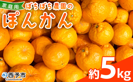 ＜ぼちぼち農園のぽんかん 家庭用 約5kg＞ 5キロ ぽんかん ポンカン 訳あり わけあり ワケアリ 果物 みかん ミカン 柑橘 フルーツ 生産量日本一 国産 特産品 ぼちぼち農園 愛媛県 西予市【常温】『2027年1月～2月迄に順次出荷予定』ABB0006