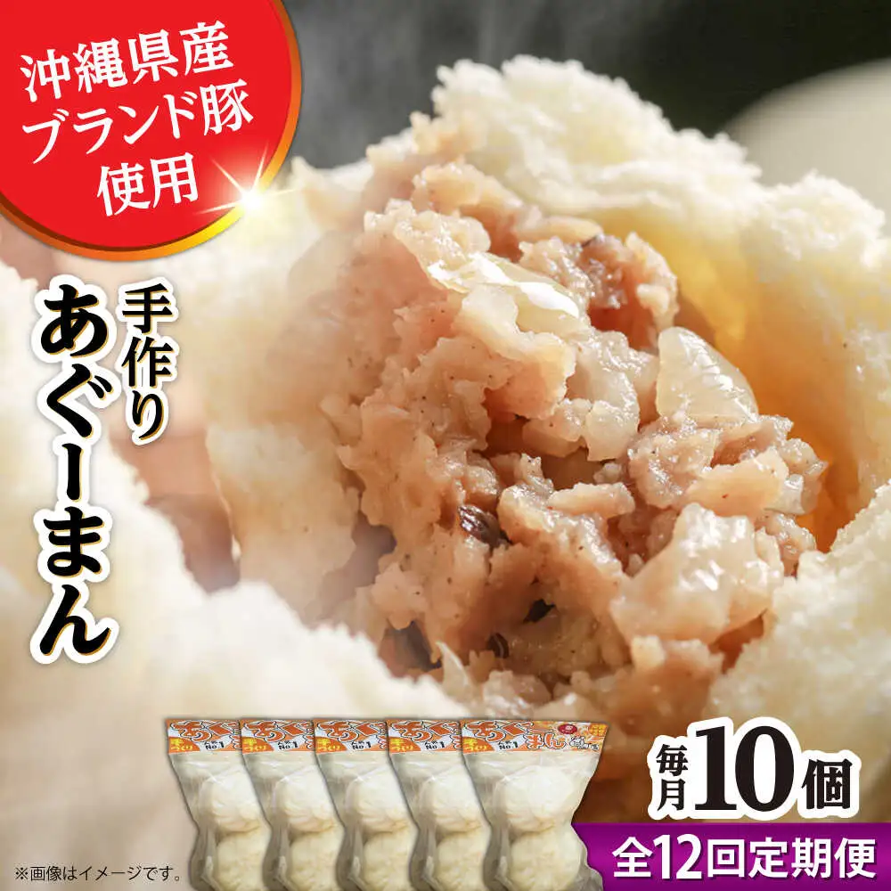 肉まん 【全12回定期便】あぐーまん 10個入り (2個入り×5P)  BCBL031 惣菜