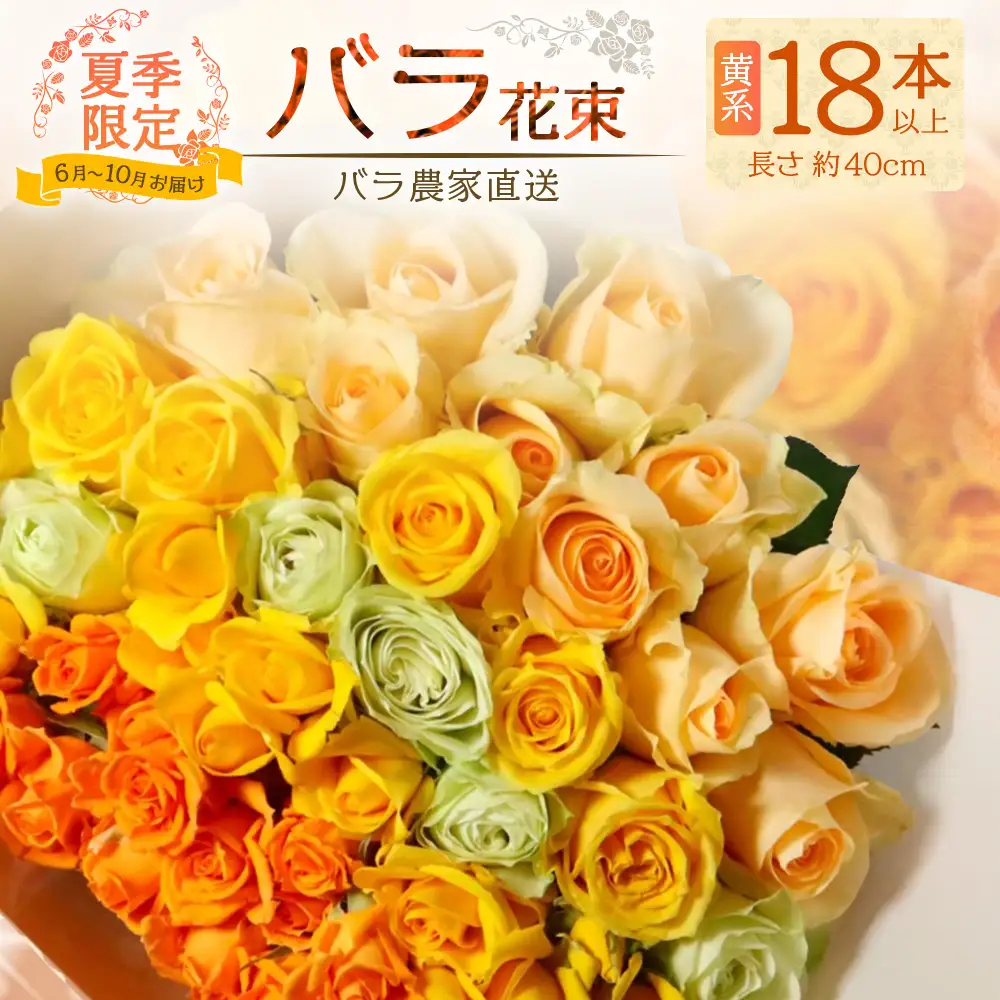 【日付指定必須・ギフト対応可】夏季限定 ばら農家直送！バラ花束18本以上お届け(黄系) TB-3│ローズ 新鮮 花 フラワー 花束 ばら 薔薇 バラ 誕生日 記念日 結婚祝い ギフト プレゼント お祝い 贈り物 贈答 鹿児島県 南大隅町 富田バラ園