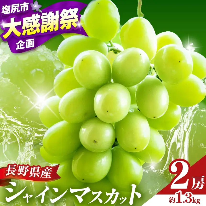 【2026年先行予約】シャインマスカット 2房  (約1.3kg）（2026年9月下旬頃より発送予定）