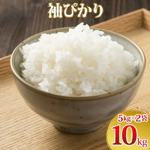 新米 令和8年度産 袖ぴかり 10kg (5kg×2) [0776]