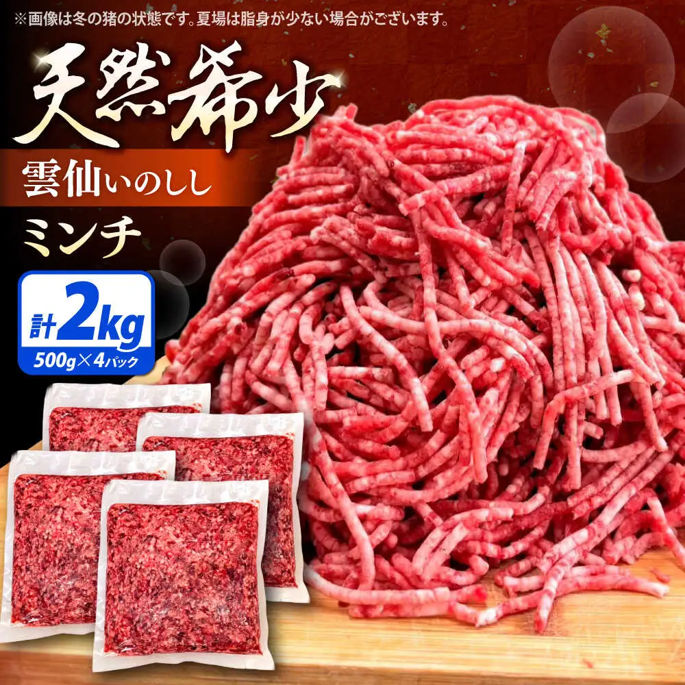 ジビエ 猪肉 ミンチ 2kg [SDB013] ｜ジビエ
