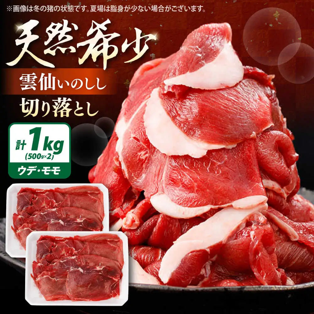 猪肉切り落とし1kg[SDB015] 猪