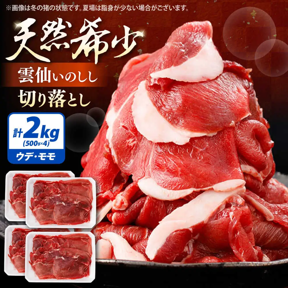 猪肉 切り落とし 2kg 雲仙いのしし モモ ウデ / 肉 イノシシ ジビエ いのしし 焼肉 ぼたん鍋 切り落とし / 南島原市 / もりのめぐみ[SDB016]