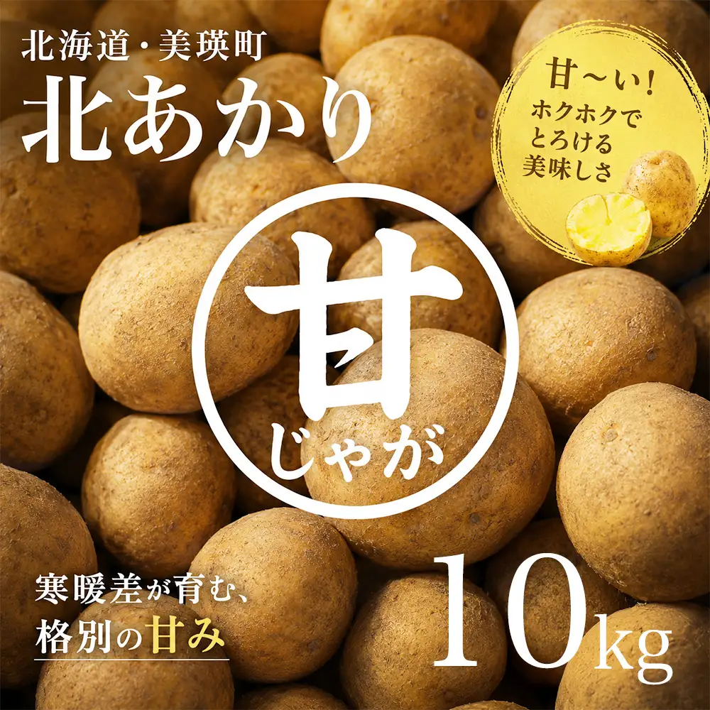 じゃがいも 【令和８年産予約受付】 北あかり10kg  じゃがいも 北海道 [010-214]
