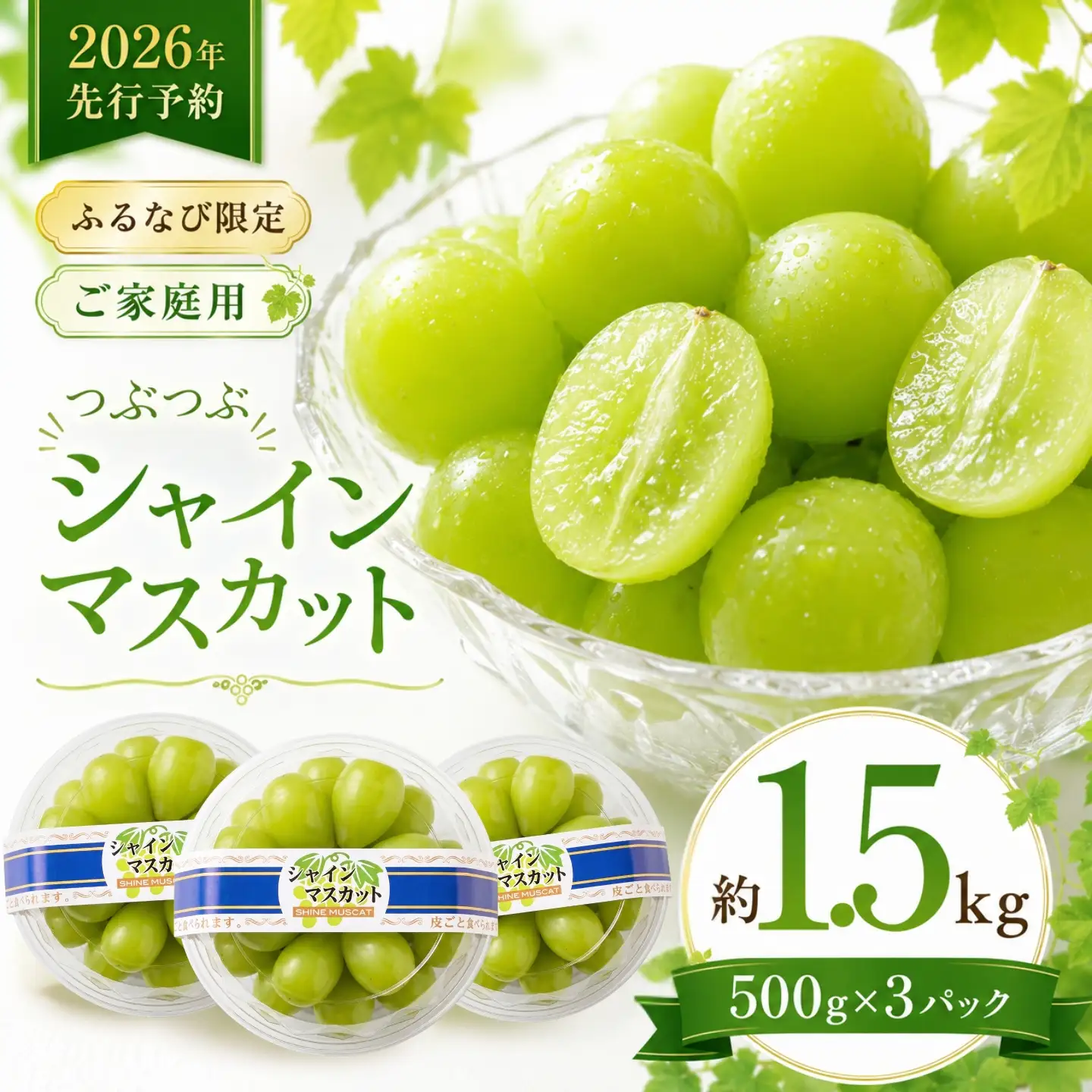 シャインマスカット（約1.5kg）【2026年先行予約】｜シャインマスカット フルーツ 【ふるなび限定】ご家庭用つぶつぶ　FN-Limited-SP