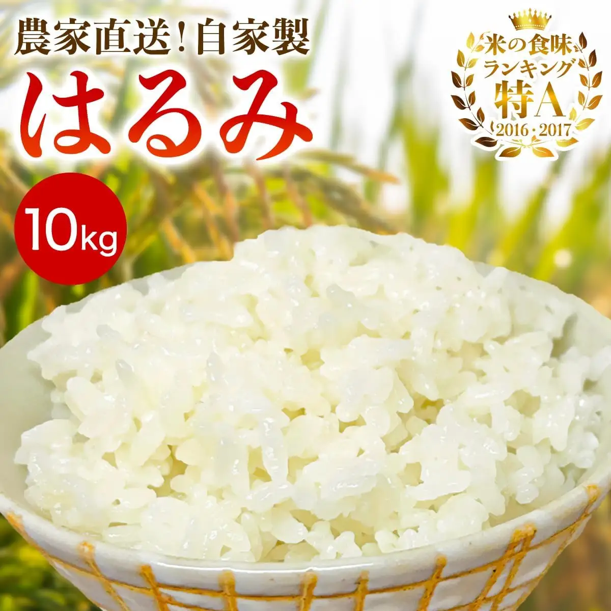 新米[令和8年産／10月下旬より順次発送] 伊勢原産 精米10kg(5kg×2袋) はるみ 農家直送！加藤さんちのうんめぇ！自家製米 [1105]
