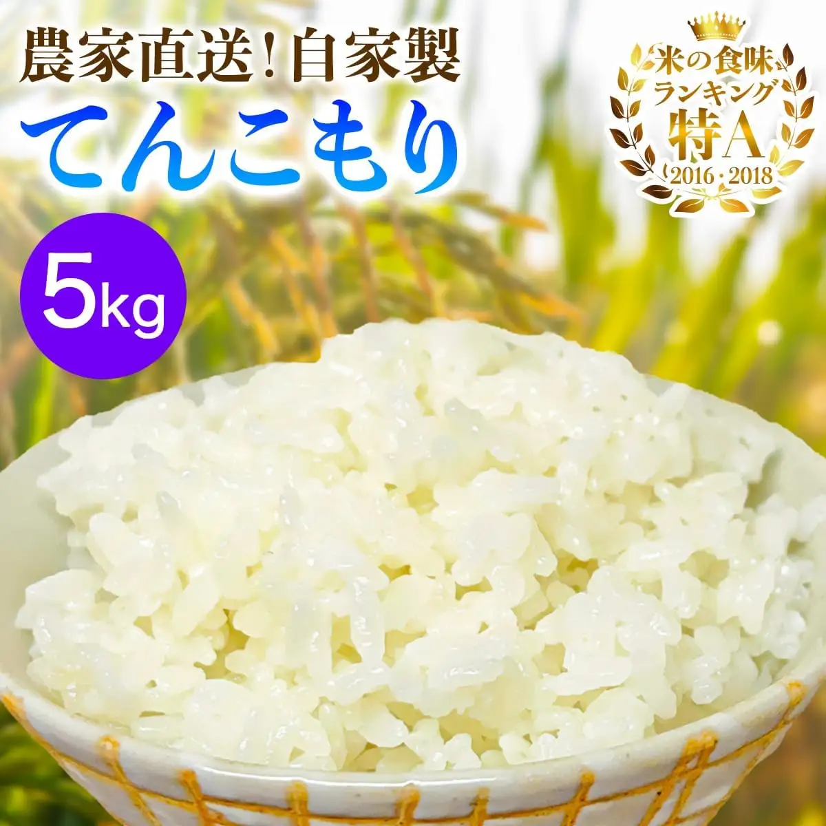 新米 [令和8年産／11月上旬より順次発送] 伊勢原産 精米5kg てんこもり 農家直送！加藤さんちのうんめぇ！自家製米 [1109]