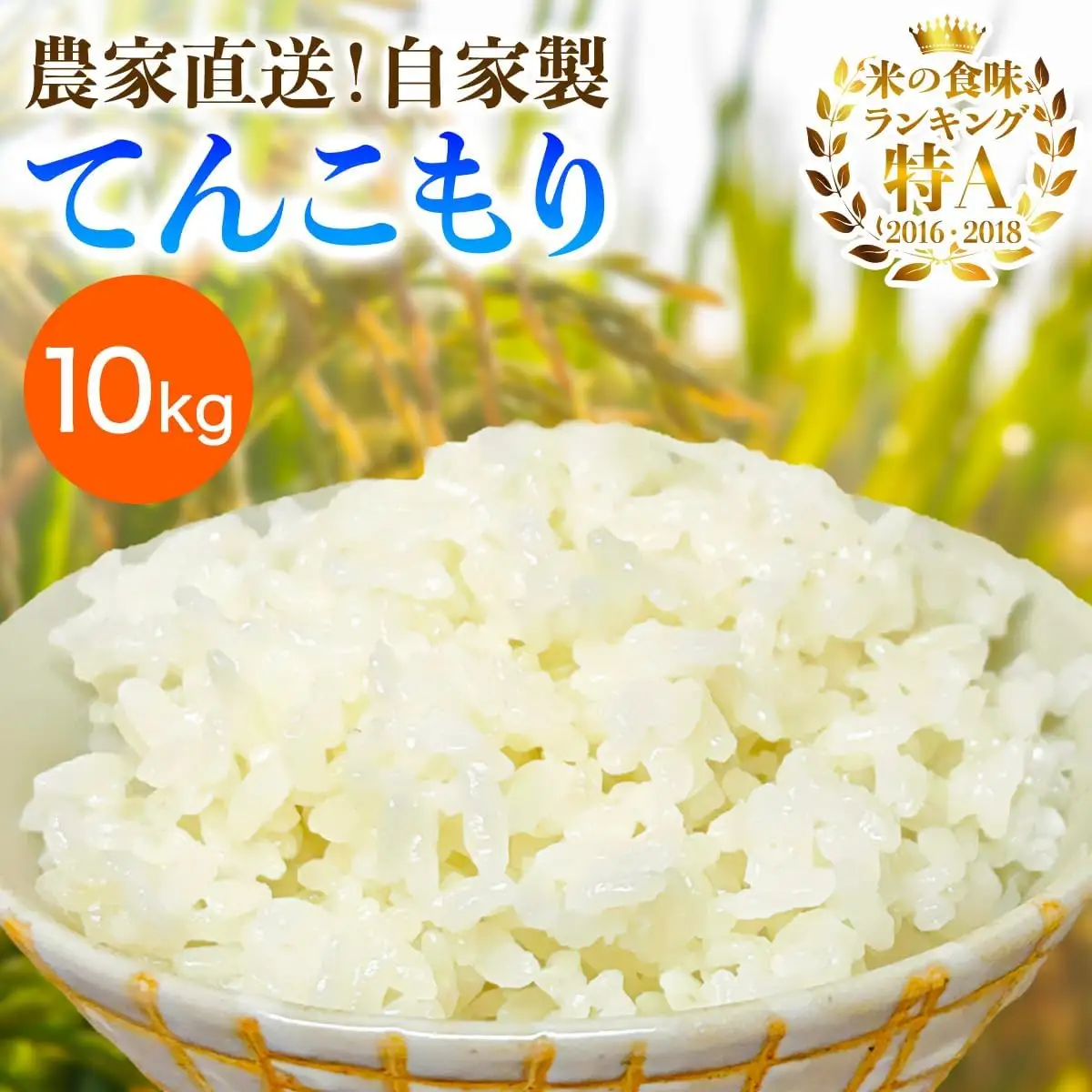 新米 [令和8年産／11月上旬より順次発送] 伊勢原産 精米10kg(5kg×2袋) てんこもり 農家直送！加藤さんちのうんめぇ！自家製米 [1112]