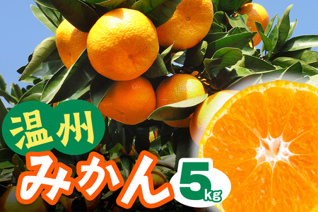 [2026年12月下旬頃から発送] 温州みかん 5kg [1292]