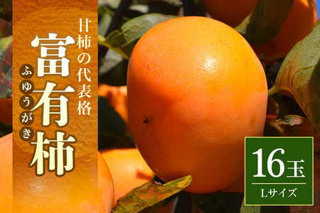【2026年収穫分】富有柿 L 16玉(三浦果樹園) 柿 甘い柿 かき 富有カキ 甘い 果物 フルーツ くだもの カキ 富有かき 秋 旬 甘柿 糖度 贈答用 贈答品 ギフト 贈り物 品種 ブランド 11月 発送 産地直送 農家直送 産直 茨城県 石岡市 (A16-005)