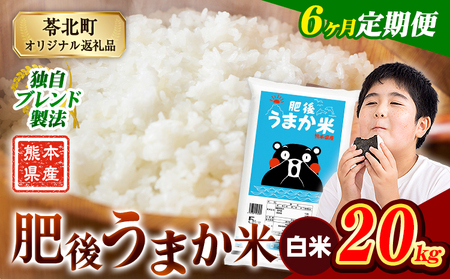 【6ヶ月定期便】肥後うまか米 20kg 白米