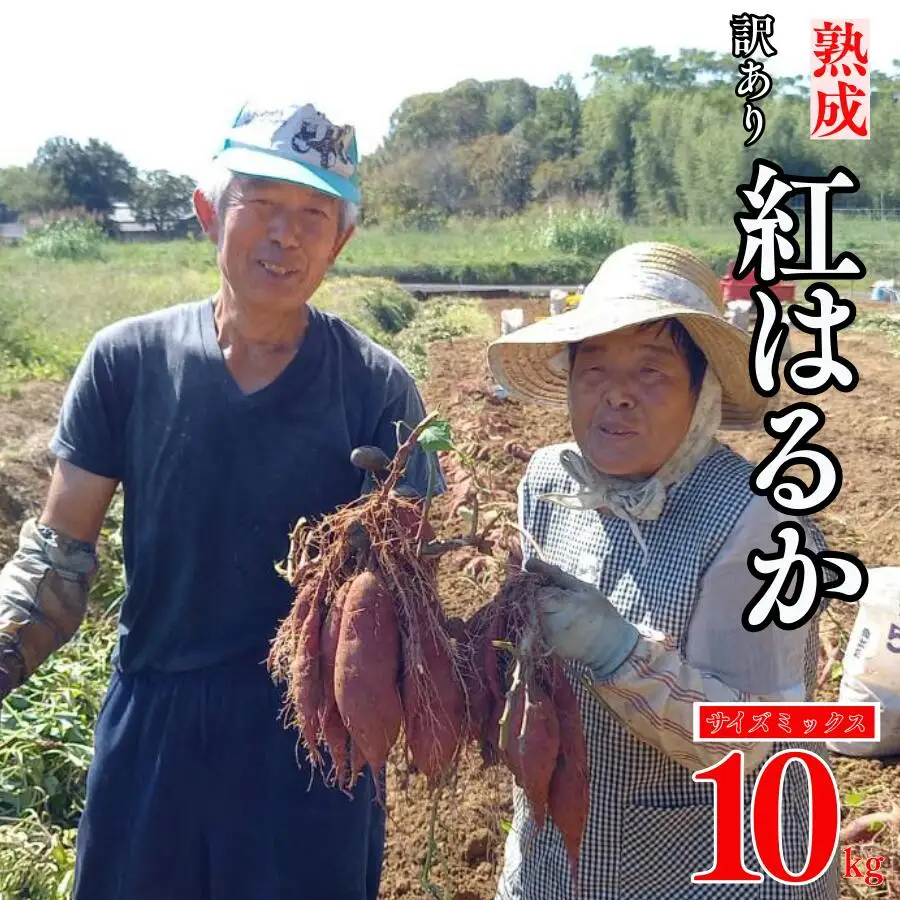 訳あり 熟成 紅はるか 10kg サイズミックス さつまいも 愛なんよ