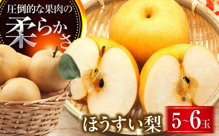 【先行予約】豊水梨 5-6玉入 BKAD030 梨