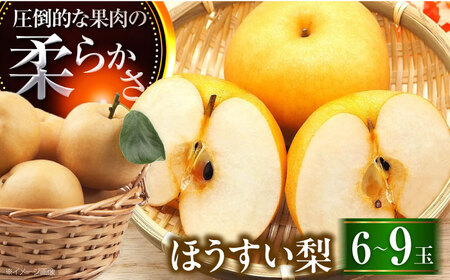 【先行予約】豊水梨 6-9玉入 BKAD031 梨