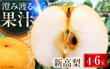 【先行予約】新高梨 4-6玉 BKAD026 梨