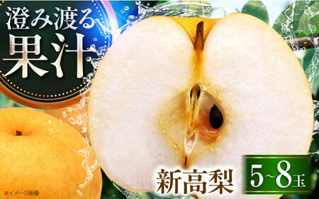【先行予約】新高梨5-8玉入 BKAD027 梨