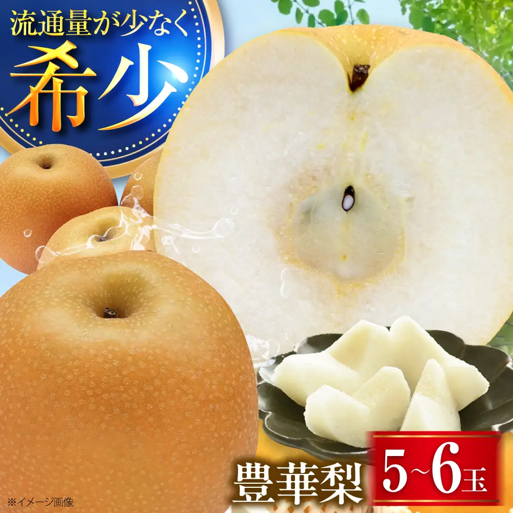 【先行予約】豊華梨 5-6玉 BKAD024 梨