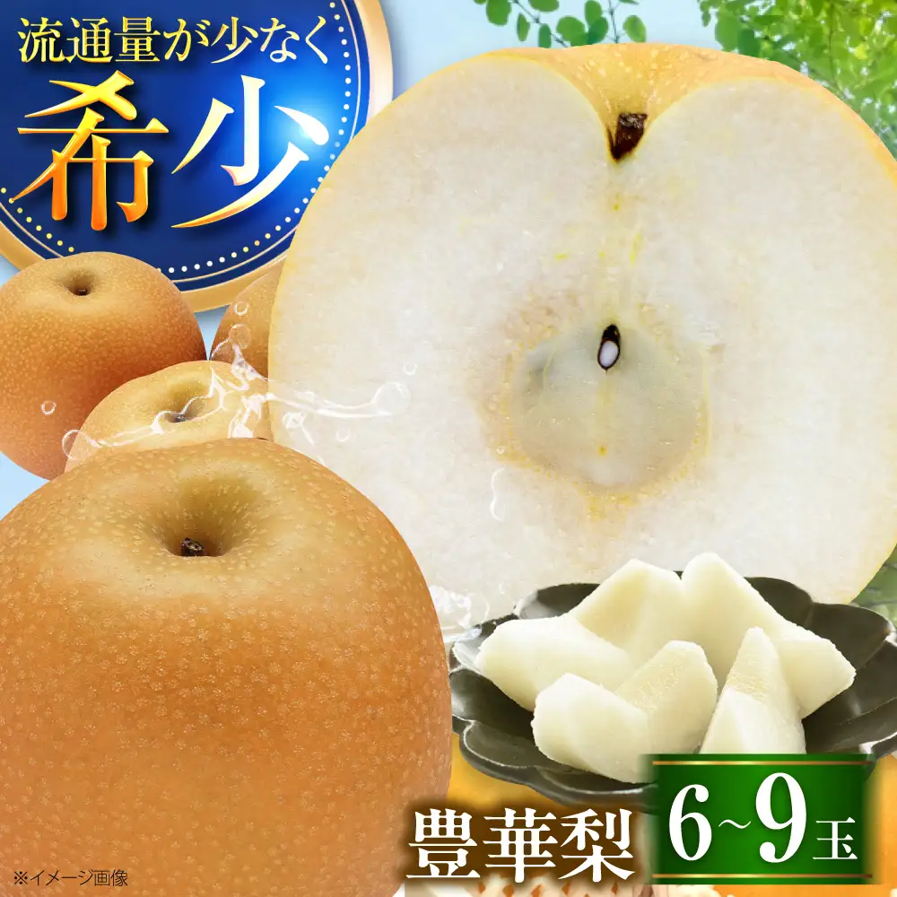 【先行予約】豊華梨 6-9玉 BKAD025 梨