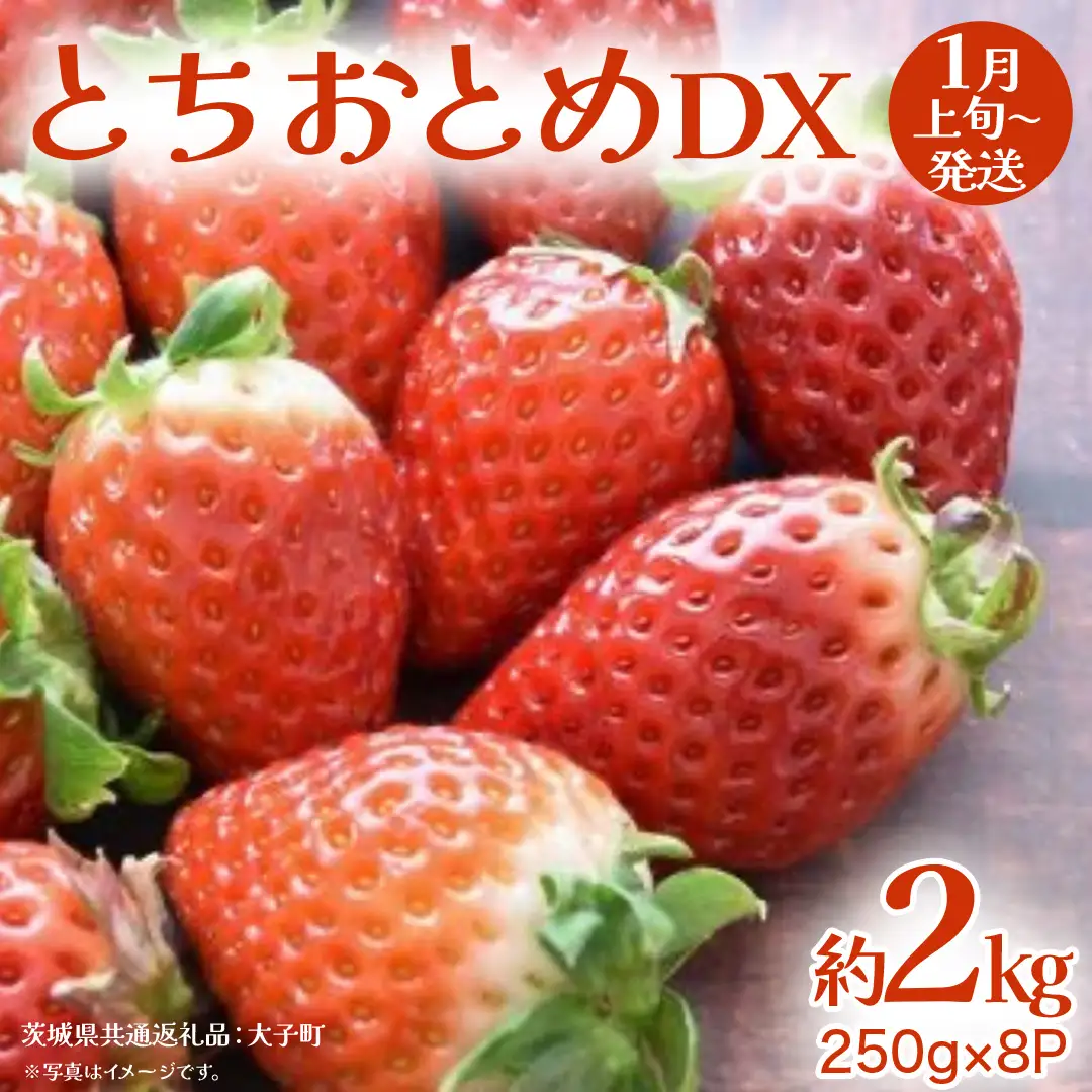 とちおとめ DX 約2kg (250g×8P)【2027年1月上旬発送開始】(茨城県共通返礼品：大子町) 苺 いちご イチゴ 果物 フルーツ おやつ