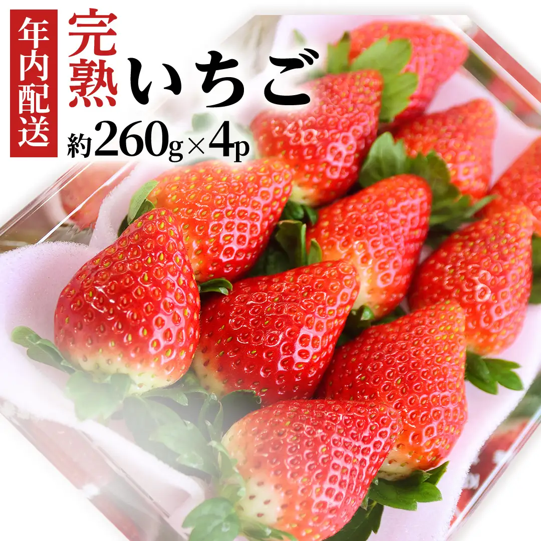 【12/10までの申込で年内にお届け！】 完熟いちご 約260g×4パック 品種おまかせ 年内お届け 国産 いちご イチゴ 苺 [BC090sa]