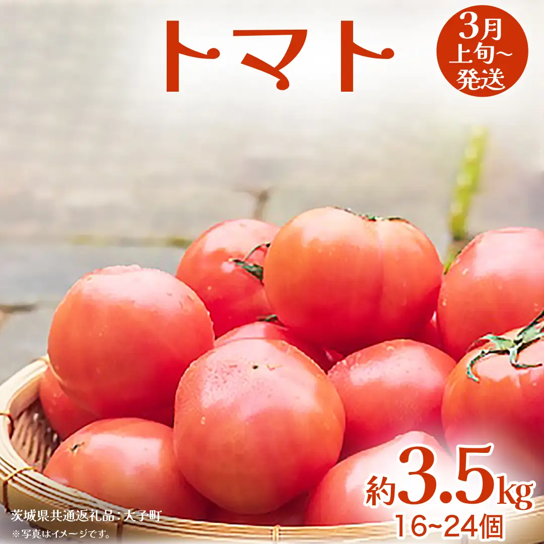 トマト 約3.5kg (16～24個)【2027年3月上旬発送開始】(茨城県共通返礼品：大子町) とまと 野菜 やさい